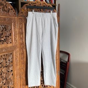 Aritzia rocket sweatpants